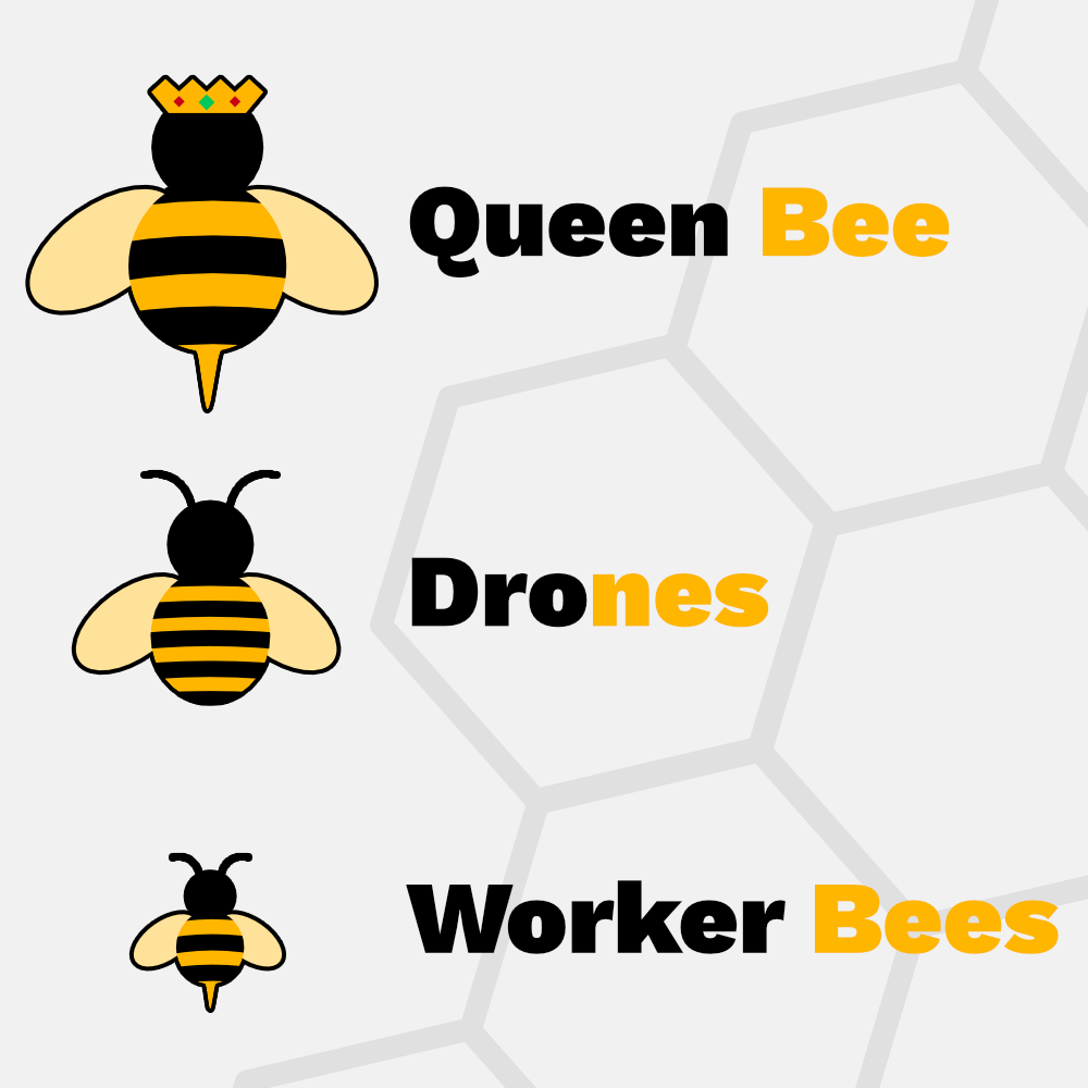 Hive Organisational Structure