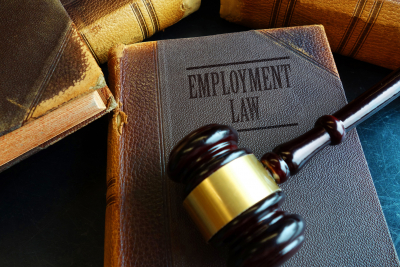 Introduction to Employment Law